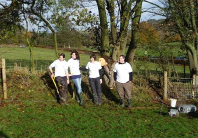 photo of volunteers