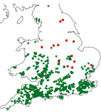 map showing distribution of dormice in the UK